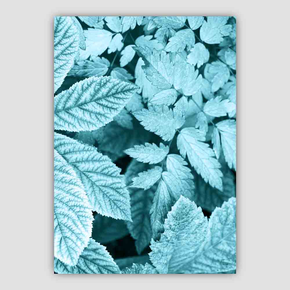 Bramble Leaves Makrofoto in Teal-Druck
