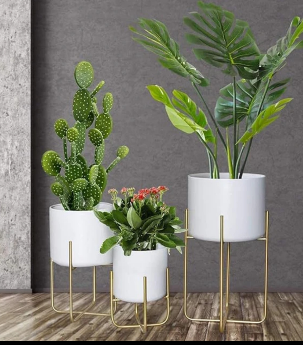 Frendorf | Blumentöpfe