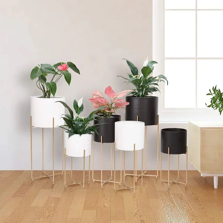 Frendorf | 2 in 1 Blumenpflanzer