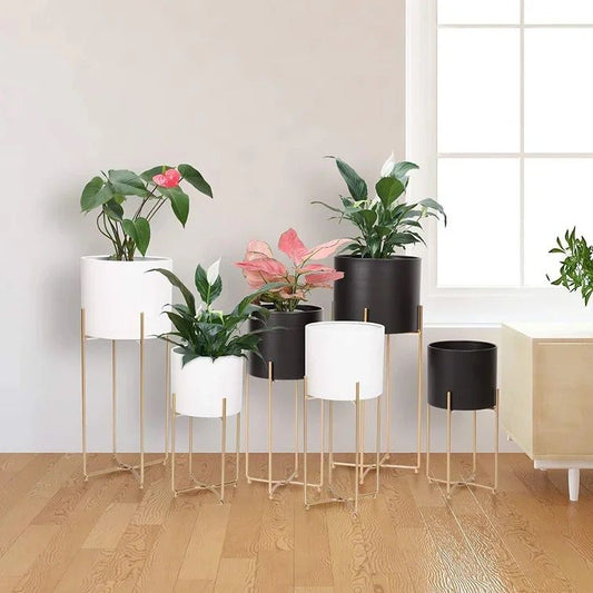 Frendorf | 2 in 1 Blumenpflanzer