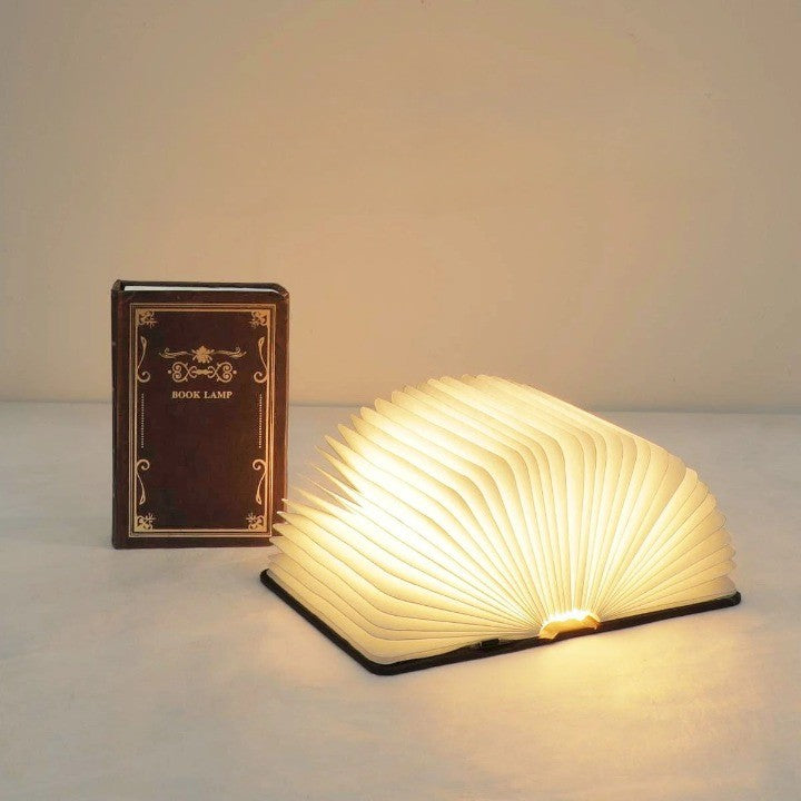 Frendorf | Illuminierte Geschichtenerzähler Minimalistische LED Lampe
