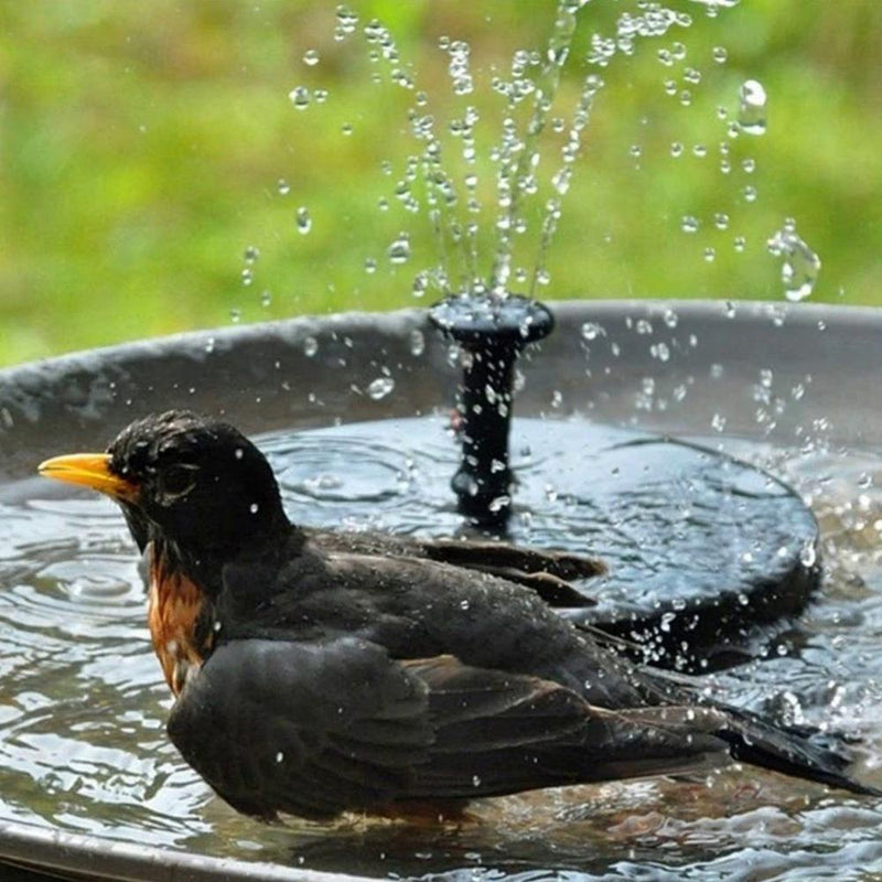 Frendorf |  Solar Springbrunnen Pumpe