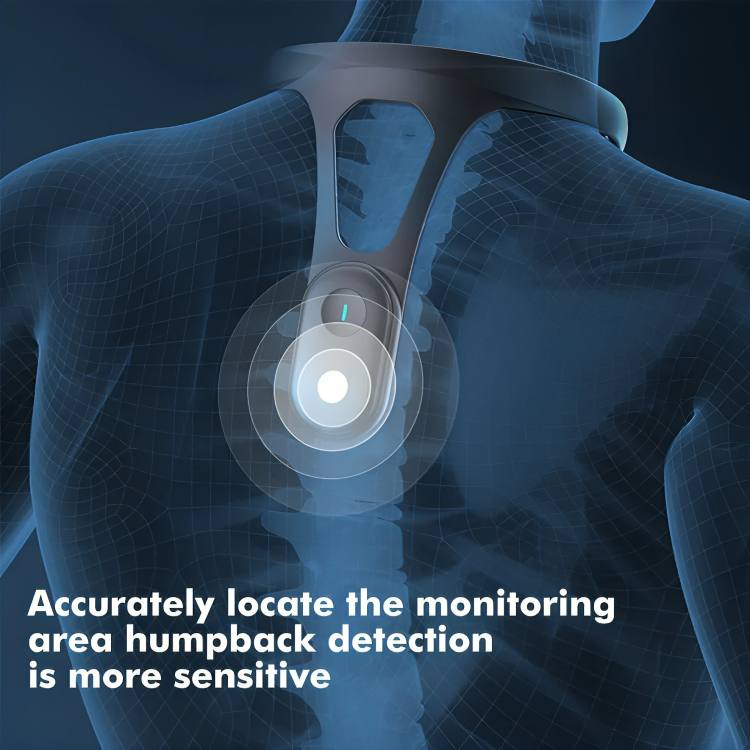 Frendorf | BackTrack