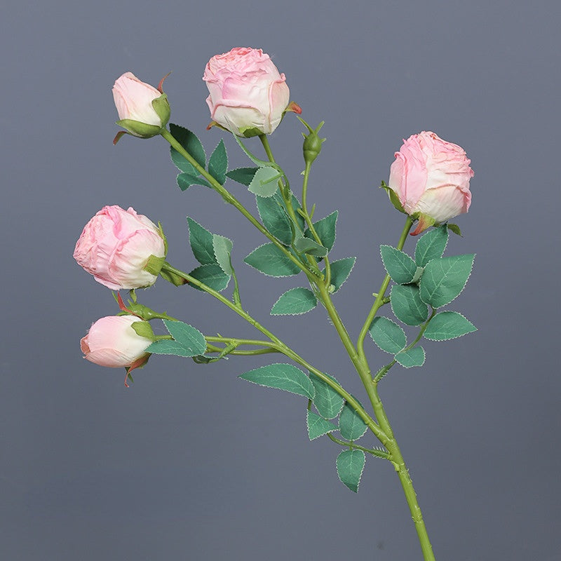 Frendorf | 5 Kopf Rose Seidenblume