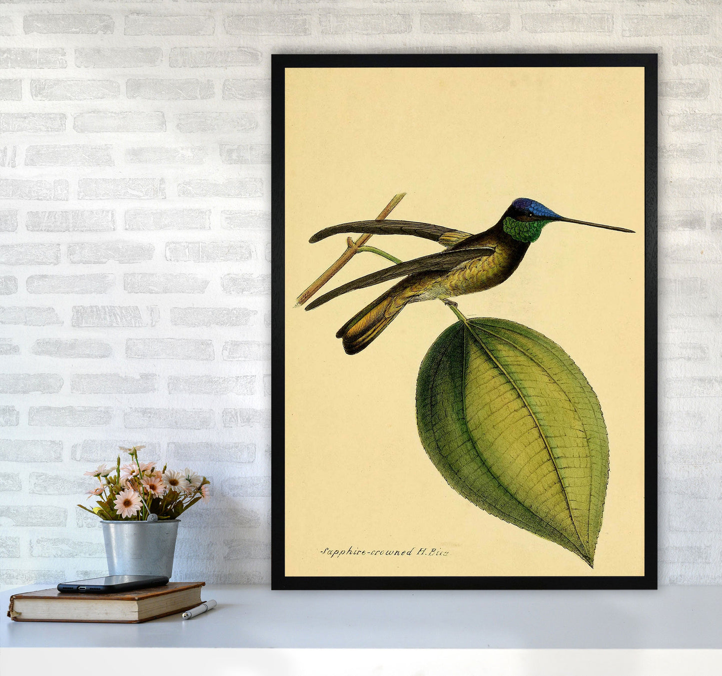 Kronen-Hummervogel-Kunstdruck