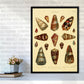 Conchologie Illustration 2 Kunstdruck