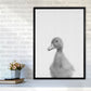 Neugieriger Enten Kunstdruck