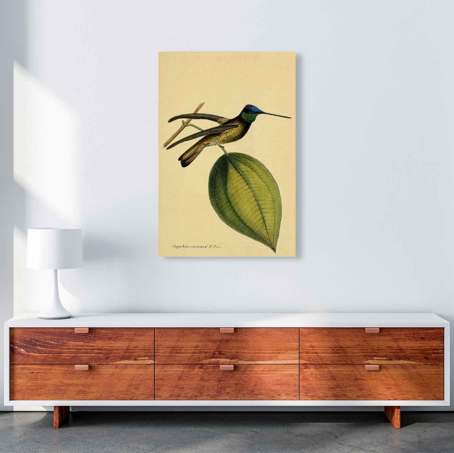 Kronen-Hummervogel-Kunstdruck