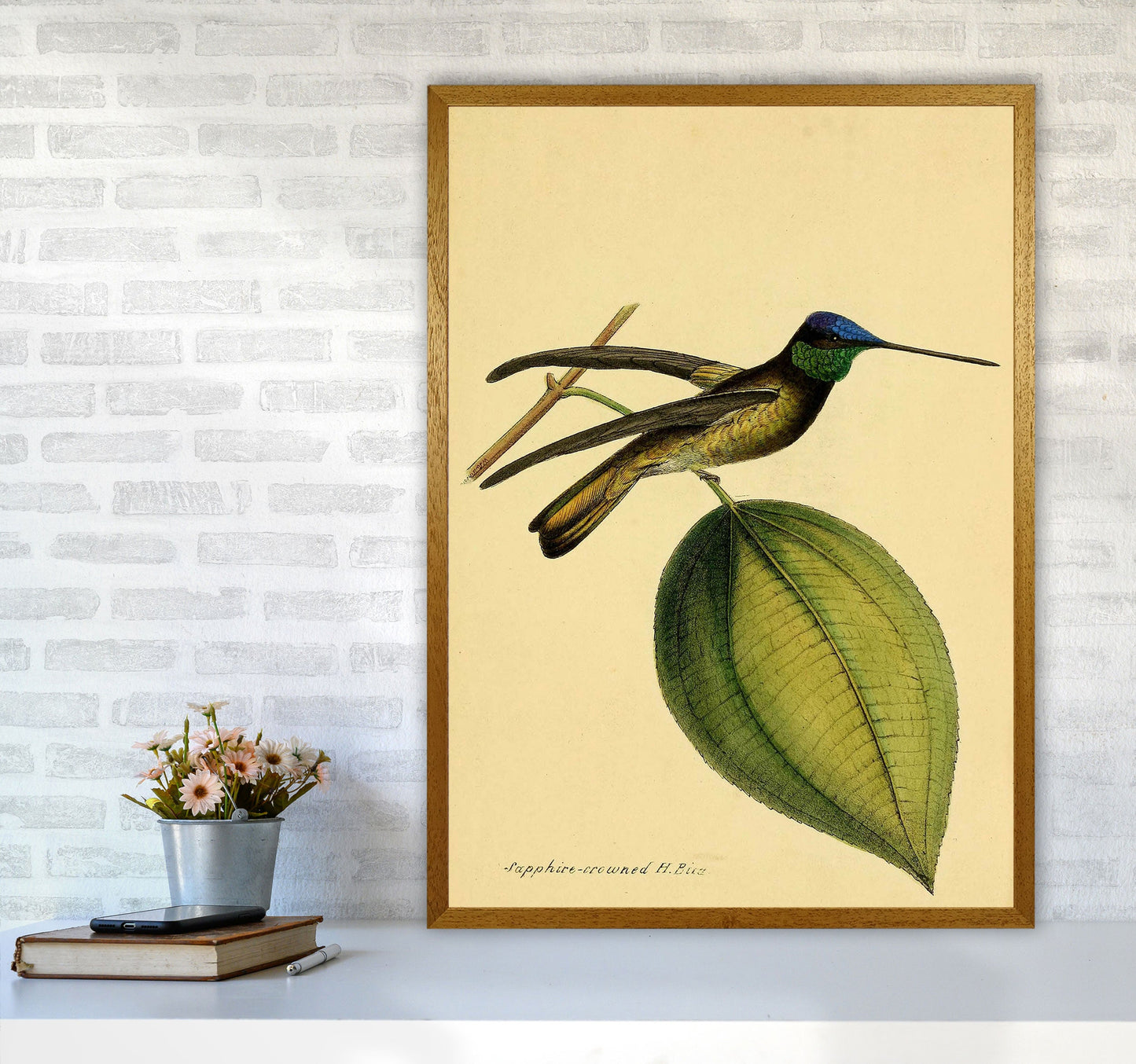 Kronen-Hummervogel-Kunstdruck