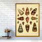 Conchologie Illustration 2 Kunstdruck