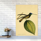 Kronen-Hummervogel-Kunstdruck