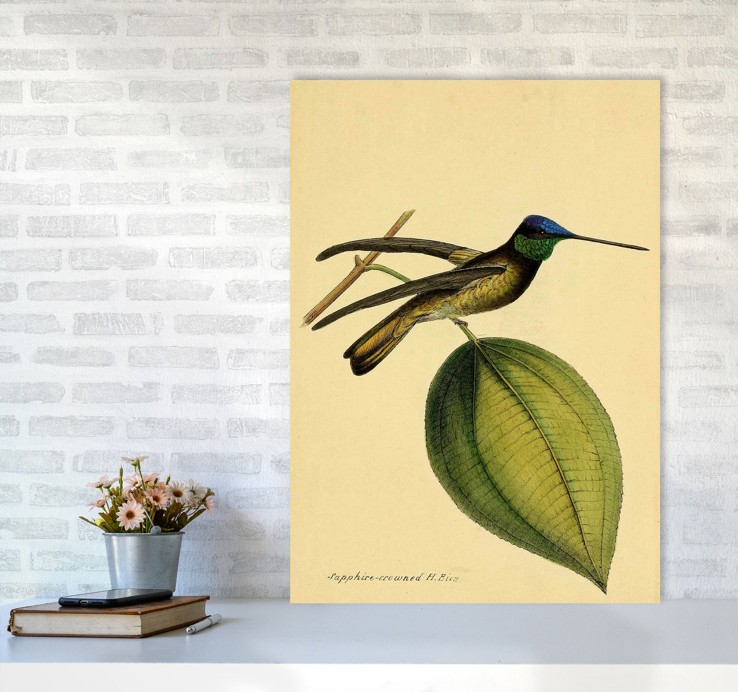 Kronen-Hummervogel-Kunstdruck