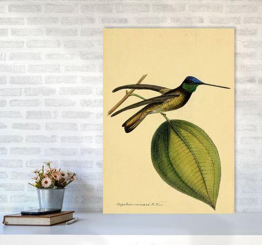 Kronen-Hummervogel-Kunstdruck