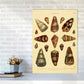 Conchologie Illustration 2 Kunstdruck