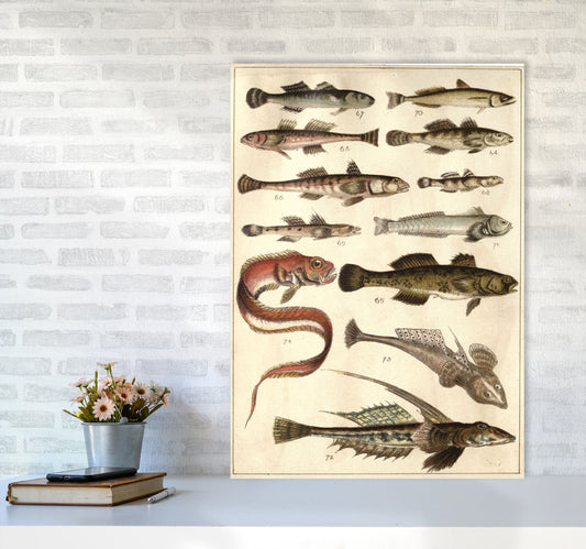 Creatures Of The Sea Kunstdruck