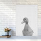 Neugieriger Enten Kunstdruck