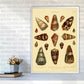 Conchologie Illustration 2 Kunstdruck