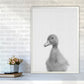 Neugieriger Enten Kunstdruck