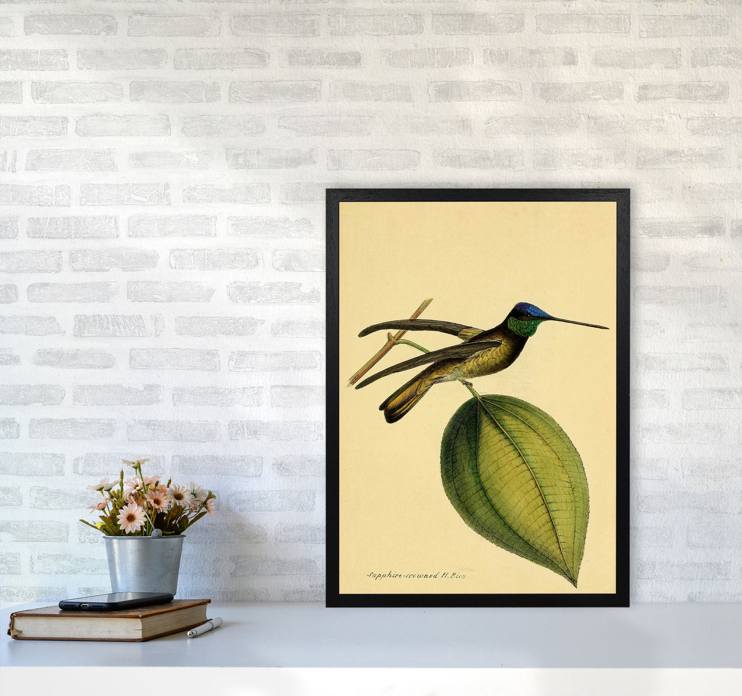 Kronen-Hummervogel-Kunstdruck