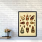 Conchologie Illustration 2 Kunstdruck