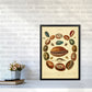 Conchologie Illustrationskunst Druck