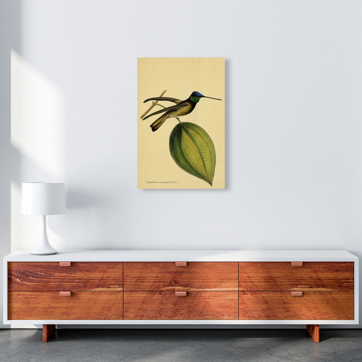 Kronen-Hummervogel-Kunstdruck