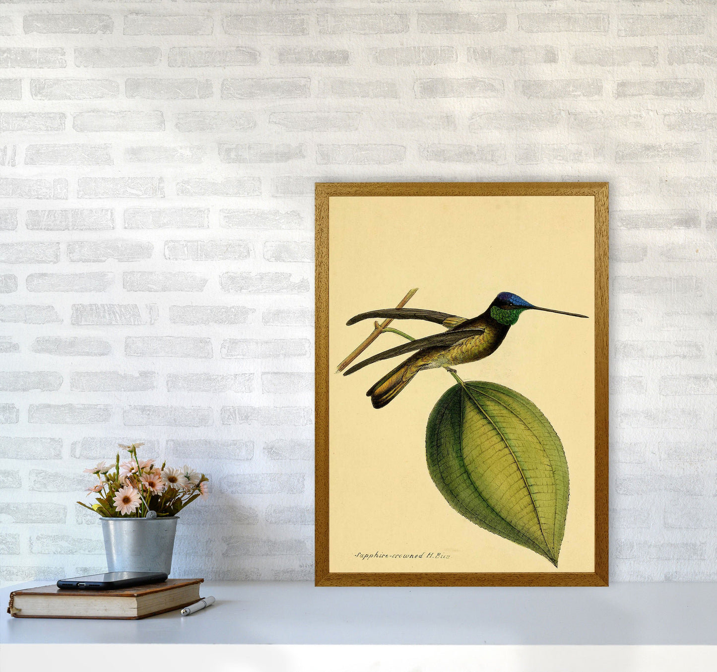 Kronen-Hummervogel-Kunstdruck