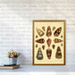 Conchologie Illustration 2 Kunstdruck