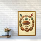 Conchologie Illustrationskunst Druck