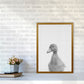 Neugieriger Enten Kunstdruck
