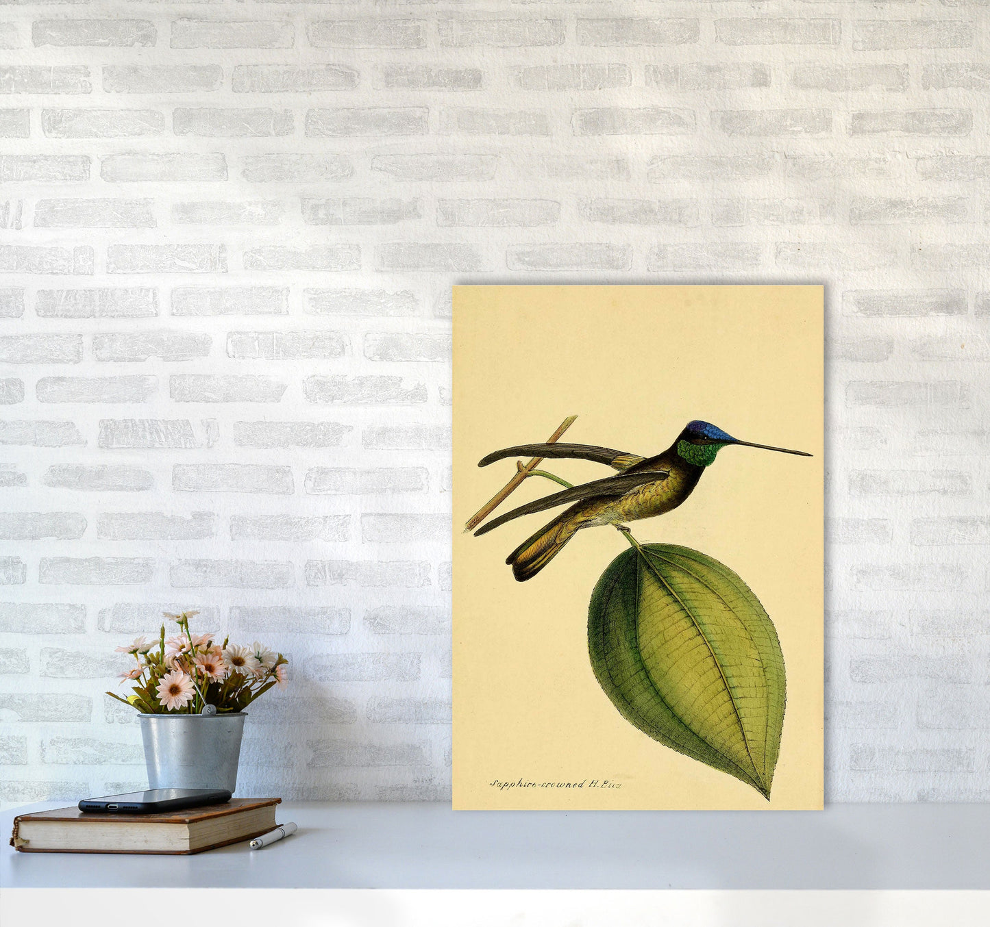 Kronen-Hummervogel-Kunstdruck