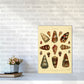 Conchologie Illustration 2 Kunstdruck