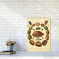 Conchologie Illustrationskunst Druck