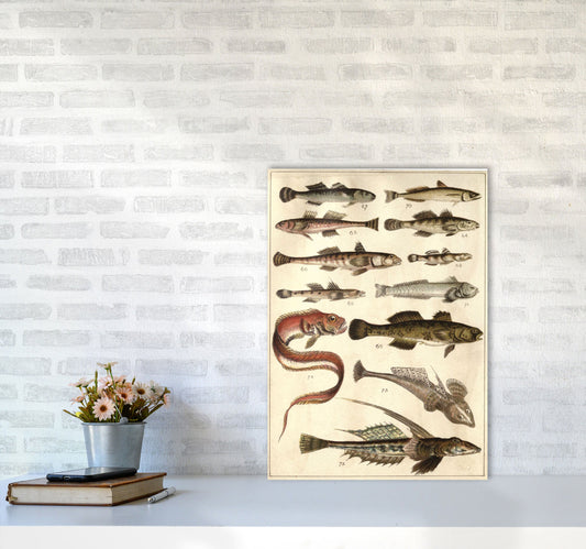Creatures Of The Sea Kunstdruck