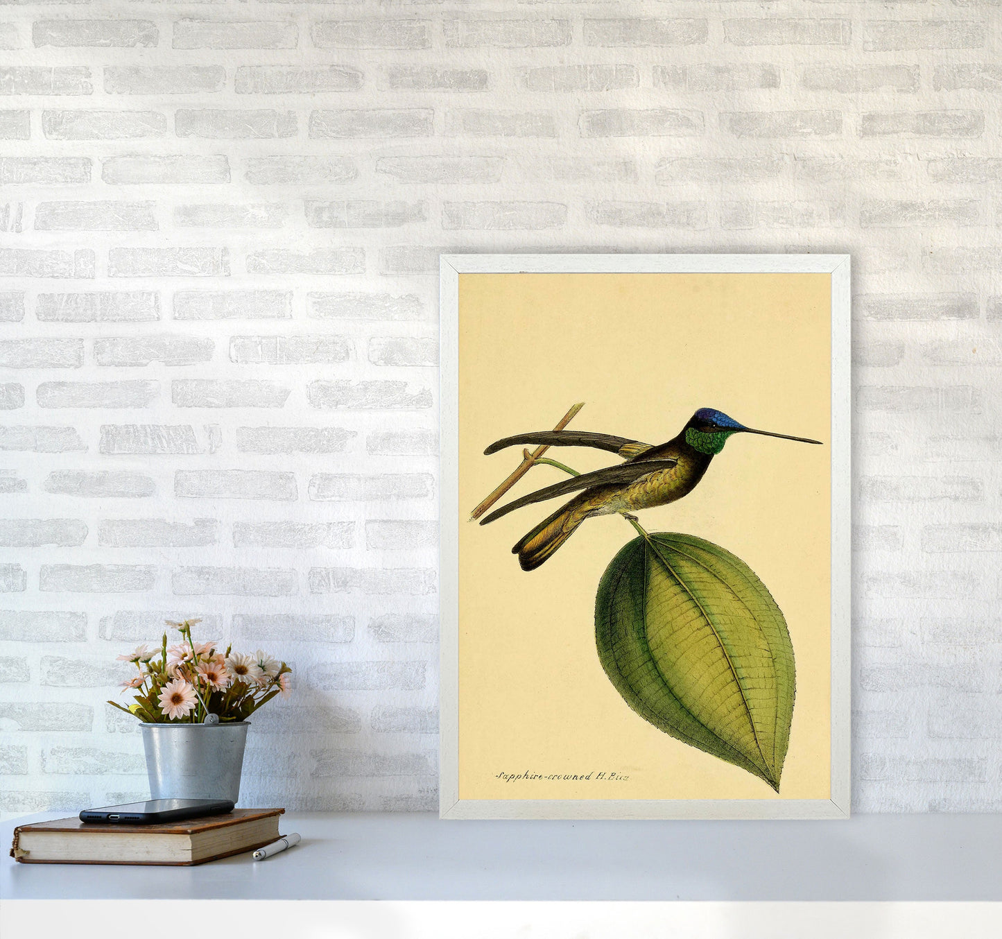 Kronen-Hummervogel-Kunstdruck