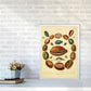 Conchologie Illustrationskunst Druck