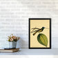 Kronen-Hummervogel-Kunstdruck