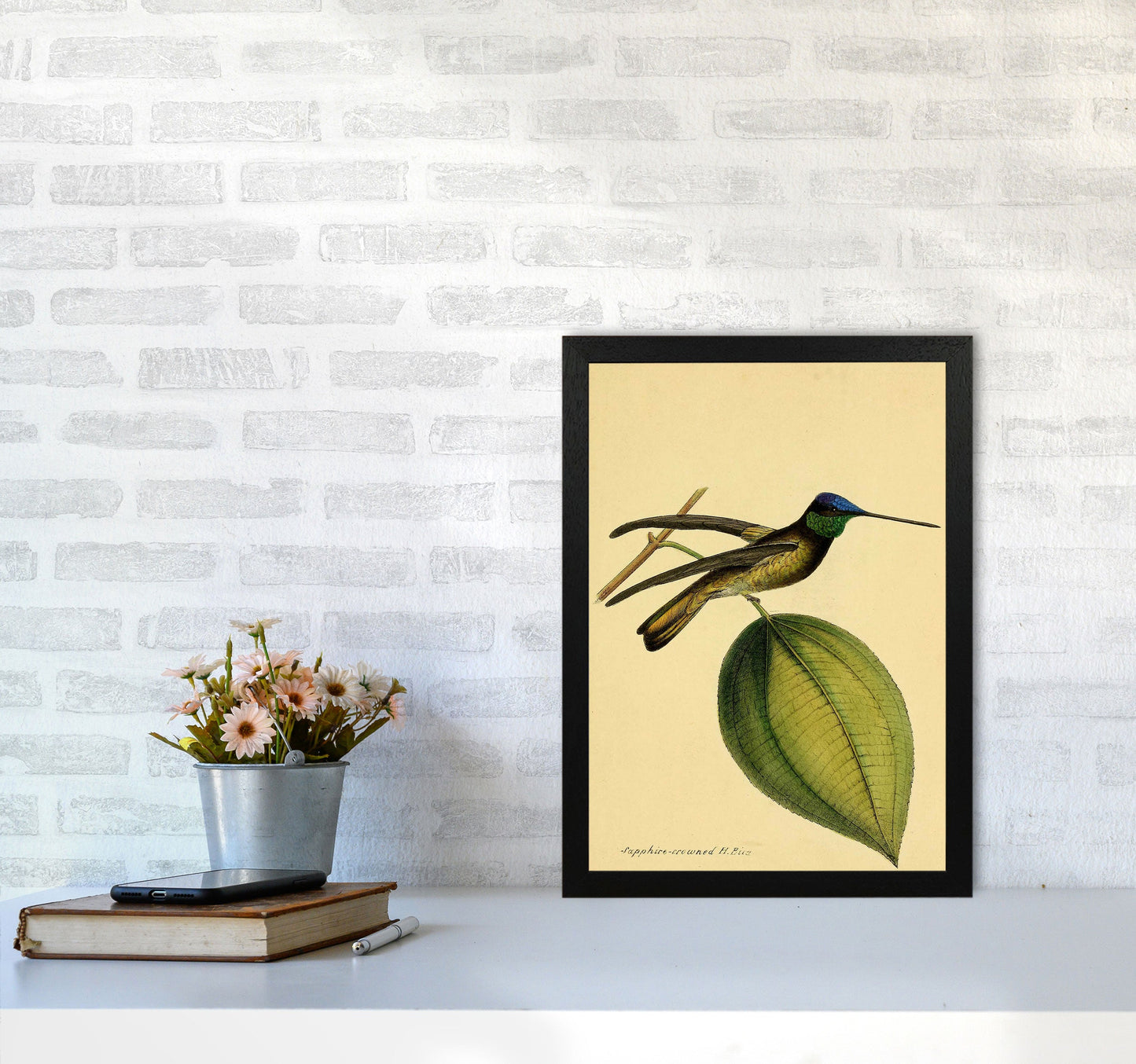 Kronen-Hummervogel-Kunstdruck