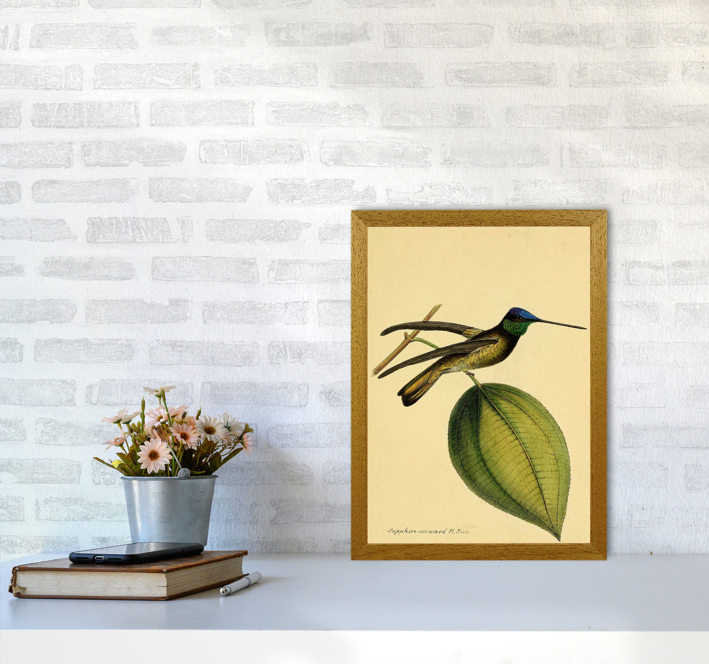 Kronen-Hummervogel-Kunstdruck