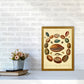 Conchologie Illustrationskunst Druck