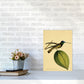 Kronen-Hummervogel-Kunstdruck
