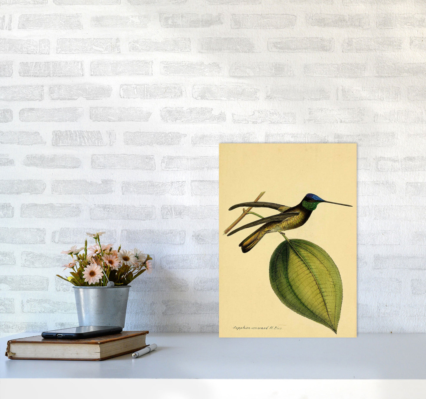Kronen-Hummervogel-Kunstdruck