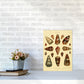 Conchologie Illustration 2 Kunstdruck