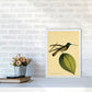 Kronen-Hummervogel-Kunstdruck