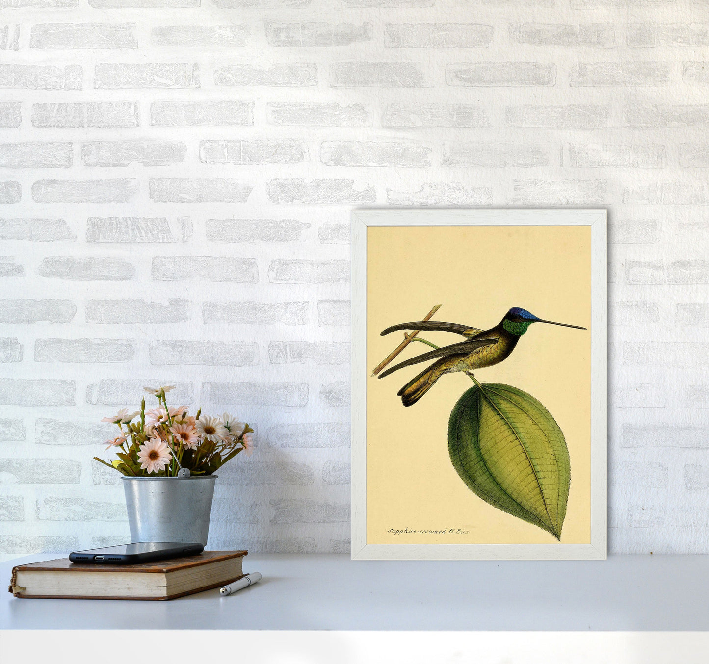 Kronen-Hummervogel-Kunstdruck
