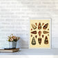 Conchologie Illustration 2 Kunstdruck