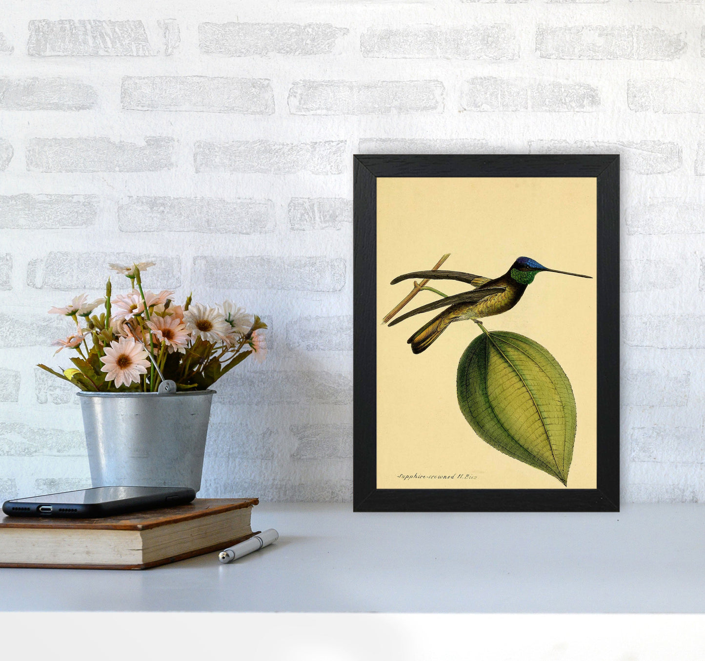 Kronen-Hummervogel-Kunstdruck