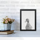Neugieriger Enten Kunstdruck