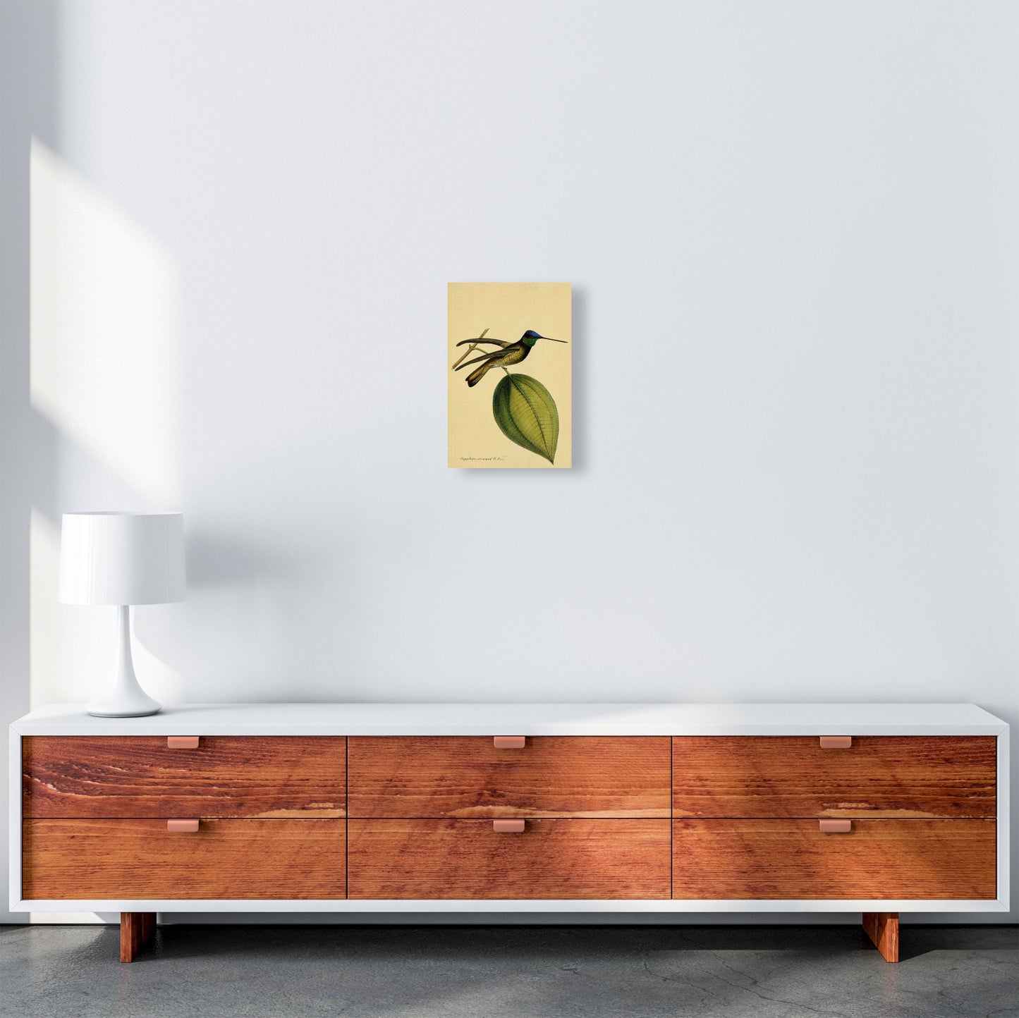 Kronen-Hummervogel-Kunstdruck