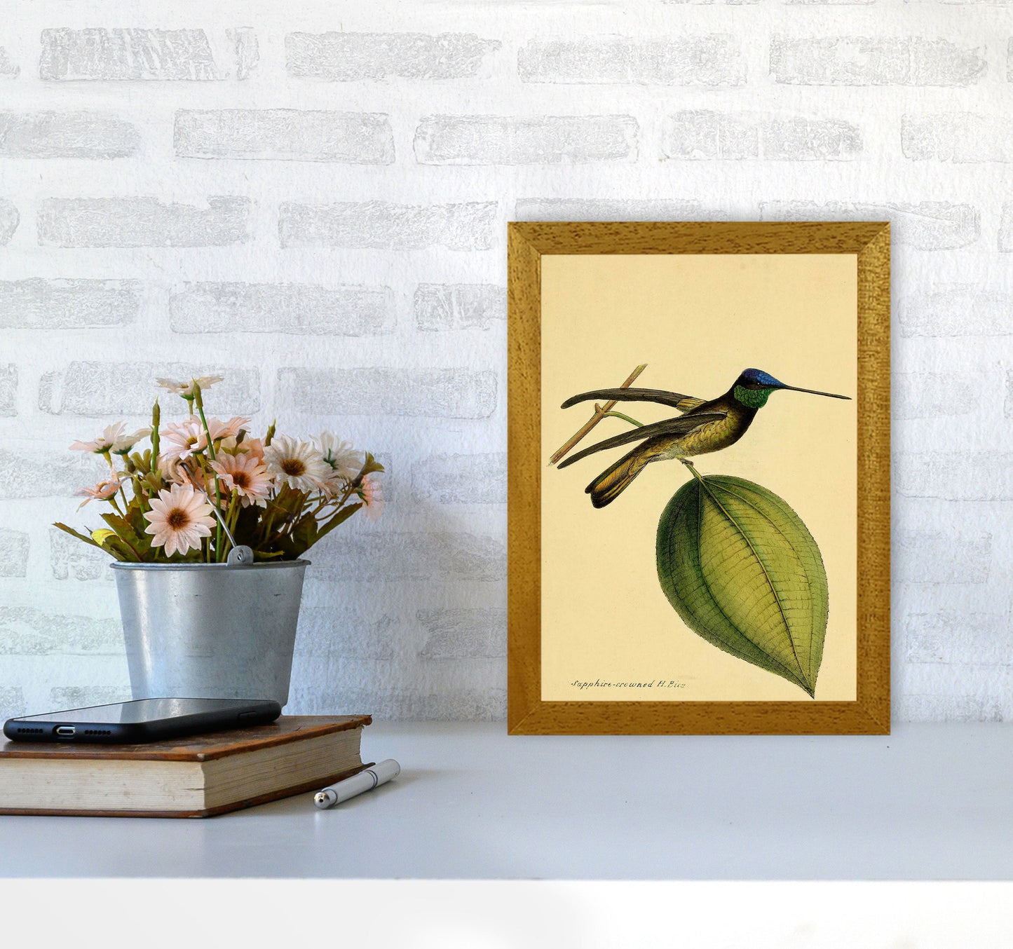 Kronen-Hummervogel-Kunstdruck